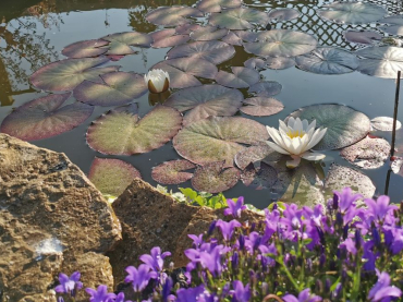 Open Gardens